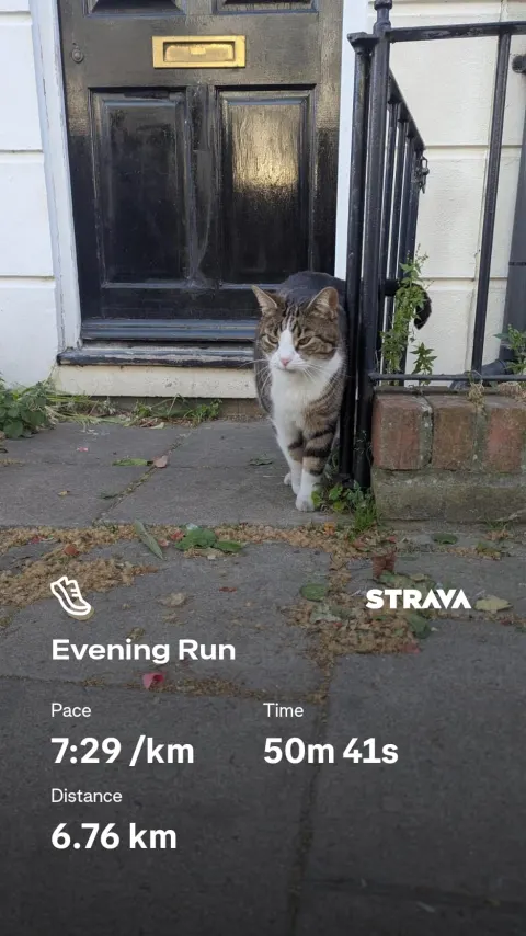 A tabby cat squeezing out past the railings of a black front door, over Strava figures for a 6.76km evening run.
