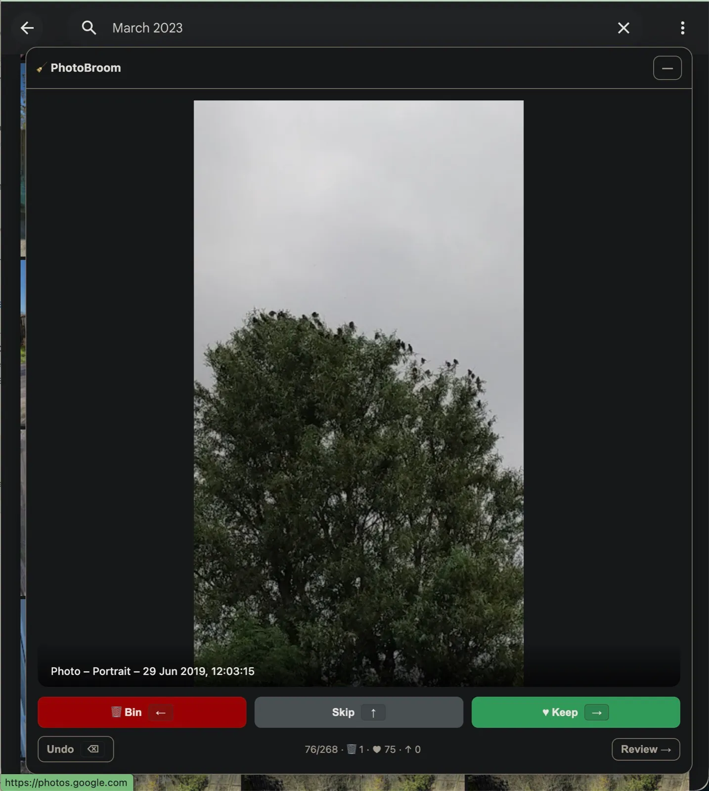 2. Review each photo with the arrow keys — bin, skip, or keep.